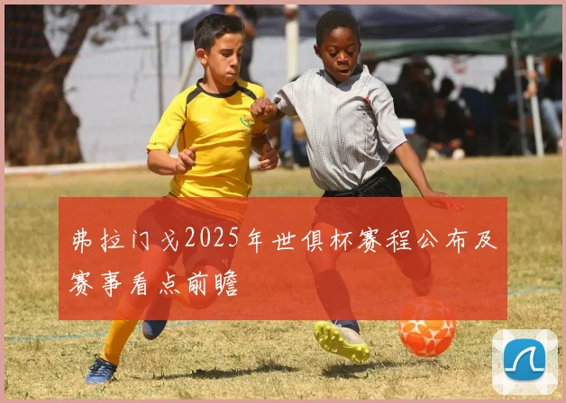 弗拉门戈2025年世俱杯赛程公布及赛事看点前瞻