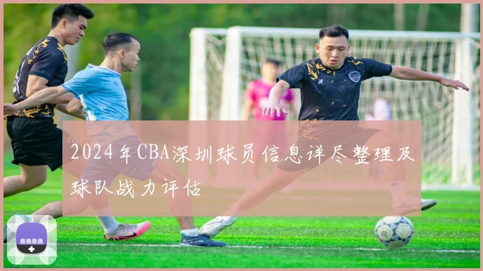 2024年CBA深圳球员信息详尽整理及球队战力评估