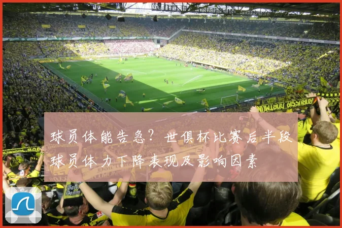 球员体能告急？世俱杯比赛后半段球员体力下降表现及影响因素