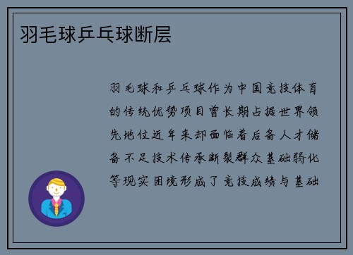 羽毛球乒乓球断层
