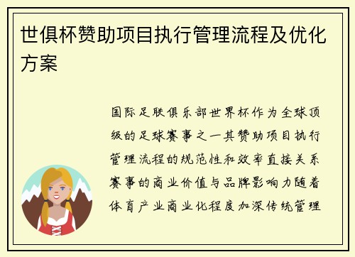 世俱杯赞助项目执行管理流程及优化方案
